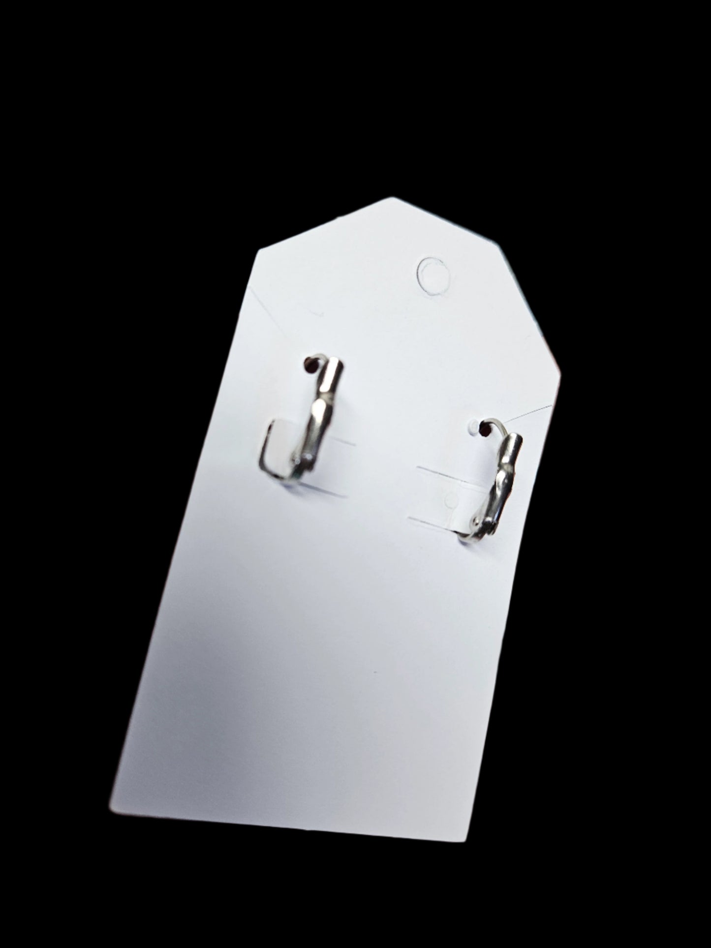 Back view of lever back earrings on a white background