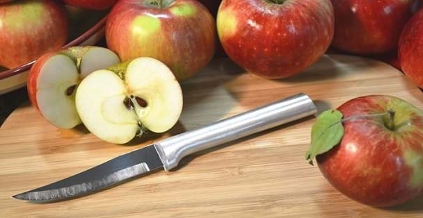 Heavy Duty Paring Knife