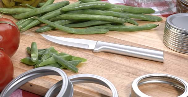 Heavy Duty Paring Knife