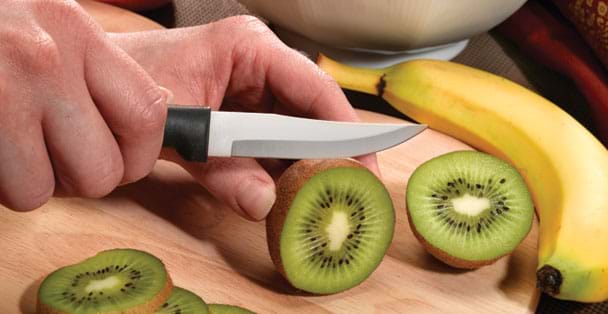 Heavy Duty Paring Knife